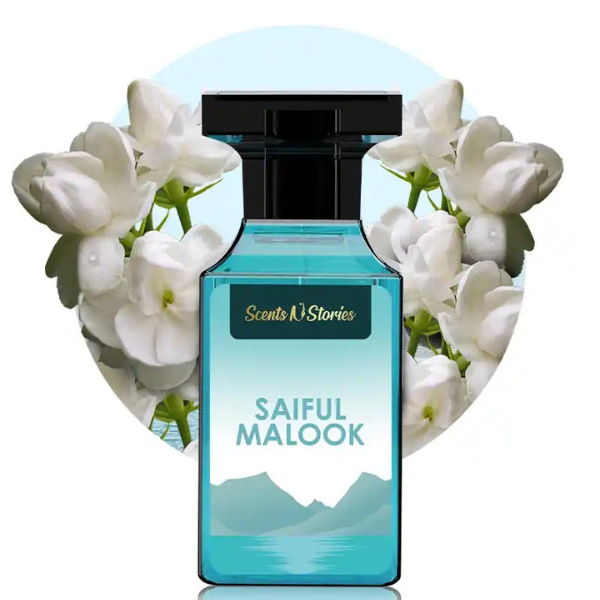 Saiful Malook